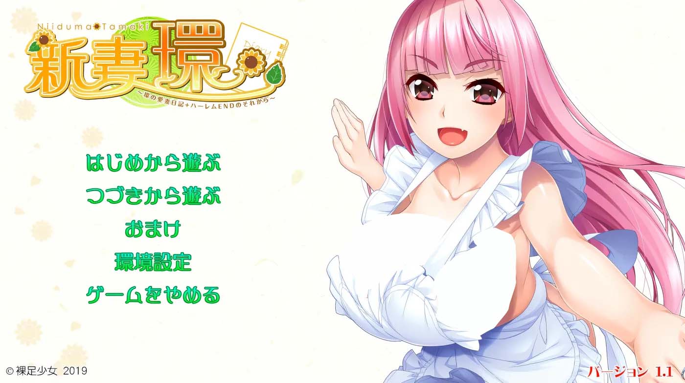 [日式ADV] 新妻环 环的爱妻日记 + 后来的后宫结局Ver1.1 汉化版+全CG存档 [2.2G]